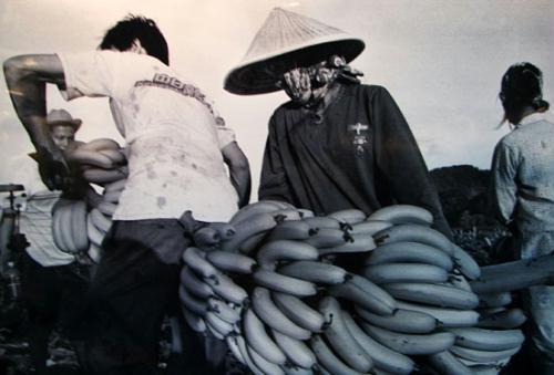 老照片:海南故事
