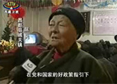 示例图片